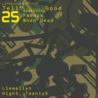 Llewellyn - High5, Twenty5