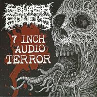 Squash Bowels - 7 inch Audio Terror (Explicit)