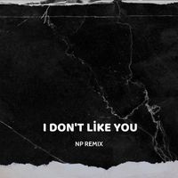NP - I Don't Like You (Extended Mix)