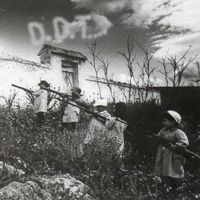 DDT - Basta