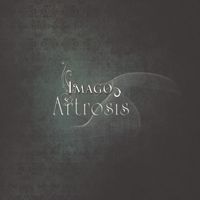 Artrosis - Imago