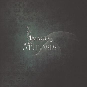 Artrosis - Imago