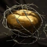 David Caballero - El contrato