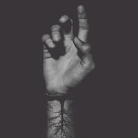 Evergreen - Treeline