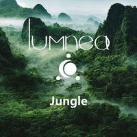 Lumnea - Jungle