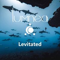 Lumnea - Levitated