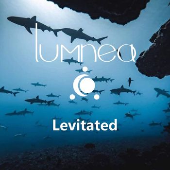 Lumnea - Levitated