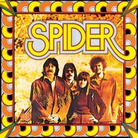 Spider - Labyrinths