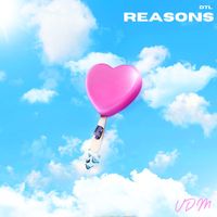 VDM - Reasons (Dtl) (Explicit)