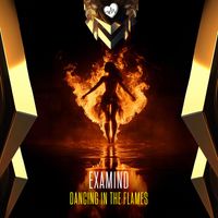 examind - Dancing In The Flames