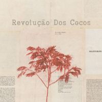 Nomade Orquestra - Revolução Dos Cocos