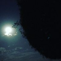 Matt James - Space Traveler