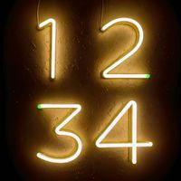 GINJA - 1234