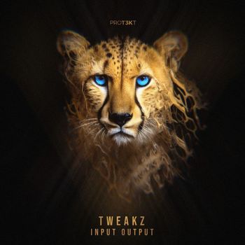 Tweakz - Input Output