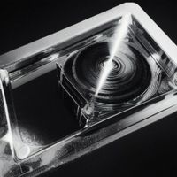 Dizzy Spins - Exploits