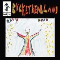 Buckethead - Rain Dear