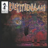 Buckethead - Bozo in the Labyrinth