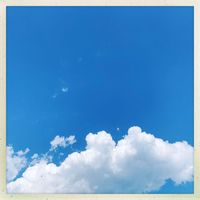 Patrick O'Hearn - Quattro Amici