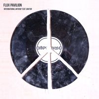 Flux Pavilion featuring Doktor - International Anthem