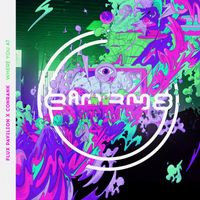 Flux Pavilion and Conrank - Where You At