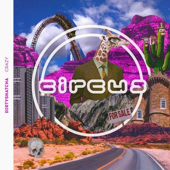 DirtySnatcha - Crazy