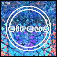 Big Voyage - Big Crunch