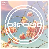 Blosso - Servant