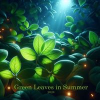 Ciaran - Green Leaves in Summer