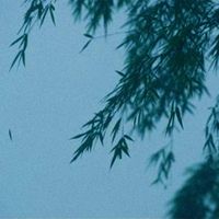 emptiness - ylang ylang