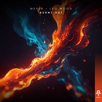 Meyer - Burnt Out