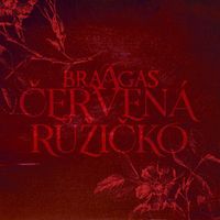 BraAgas - Červená růžičko