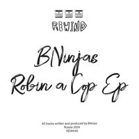 BNinjas - Robin a Cop
