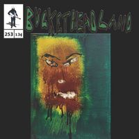Buckethead - Coop Erstown