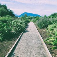 Stranded - To a quiet place