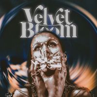 Velvet Bloom - Silver Tongue