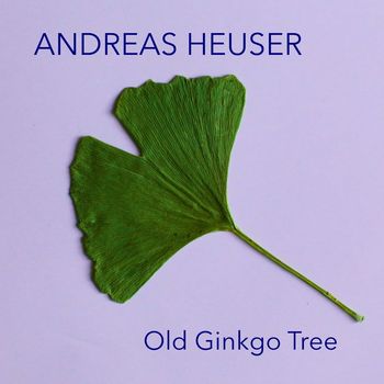 Andreas Heuser - Old Ginkgo Tree