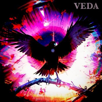VEDA - I=I