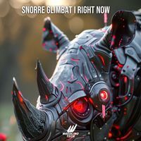 Snorre Glimbat - Right Now
