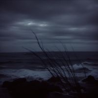 Monolith - Stillborne