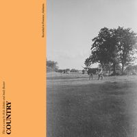 Penny & Sparrow - Country (Explicit)