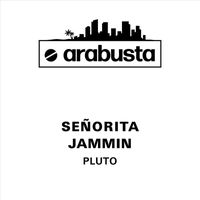 Pluto Shervington - Señorita / Jammin