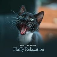 Relax My Kitten - Fluffy Relaxation