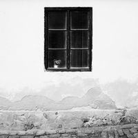 Bums in the Attic - Lost Causes