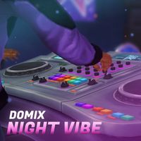 DoMix - Night Vibe