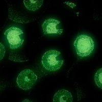 Aquo - All Eyes On Me