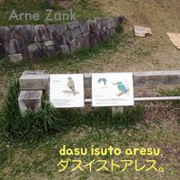 Arne Zank - Die Lücke