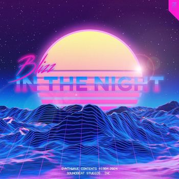 BLIZZ - In the Night