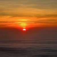 Canali - withered (Explicit)