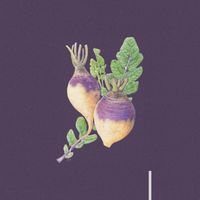 Nolan The Ninja - rutabaga (Explicit)