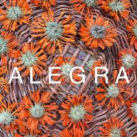 Alegra - Mystify